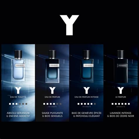 y y perfume intense.